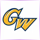 George Washington University