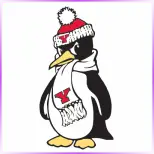 Youngstown State University