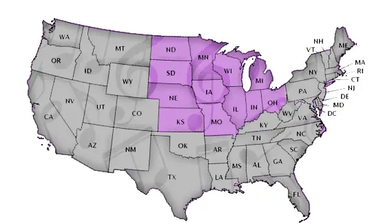 Schools by State