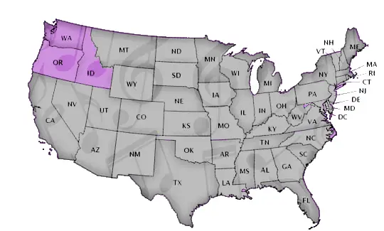 Schools by State