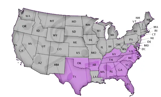 Schools by State
